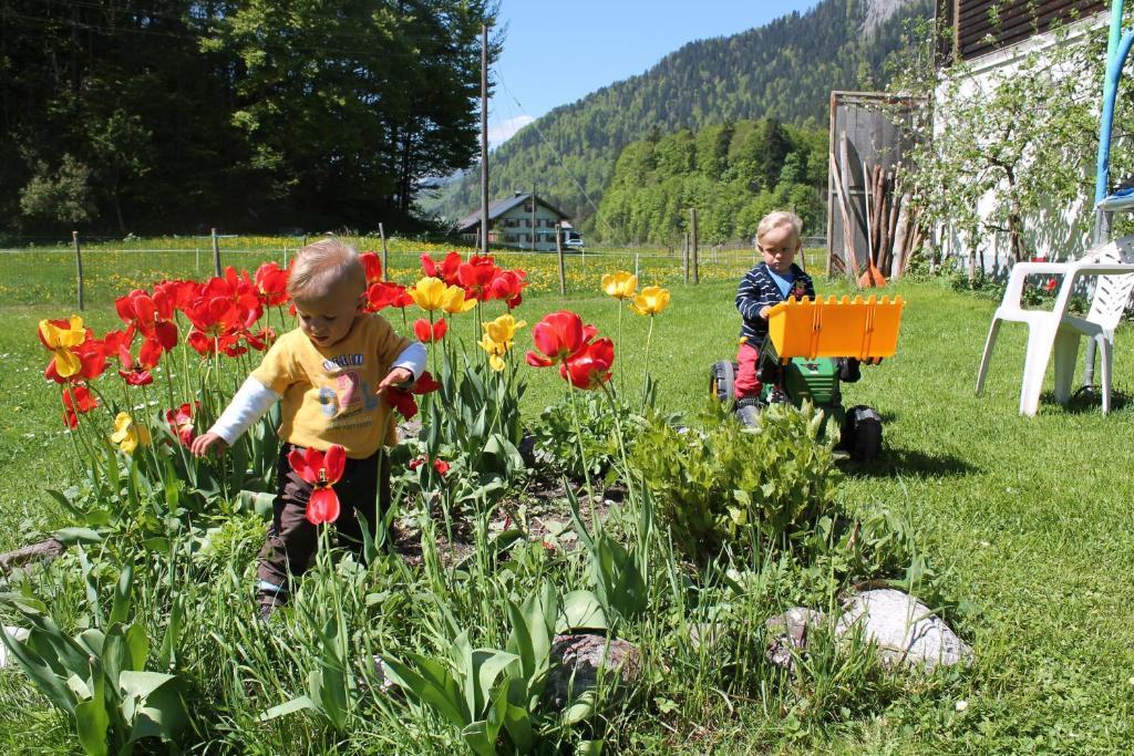 Ferienwohnungen Sutter Au (Vorarlberg) ภายนอก รูปภาพ