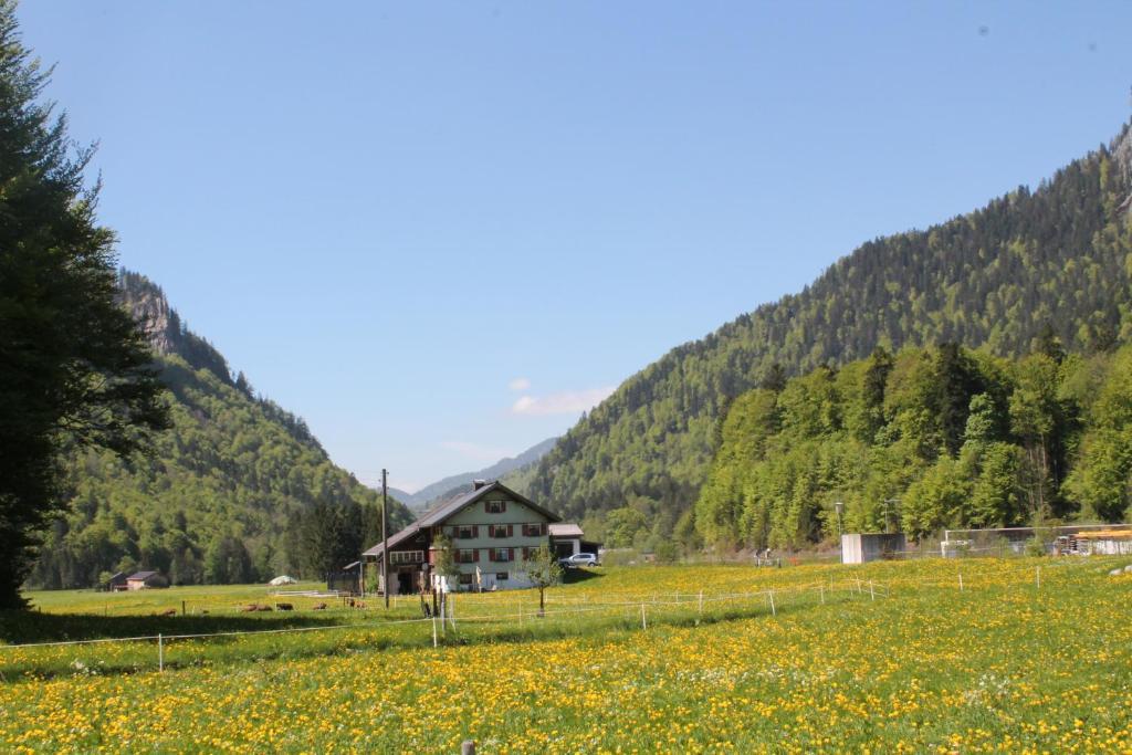 Ferienwohnungen Sutter Au (Vorarlberg) ภายนอก รูปภาพ